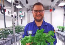 Space Salad: Scientists Grow Plants in Space-like Conditions at Antarctica Space Salad: Scientists Grow Plants in Space-like Conditions at Antarctica
