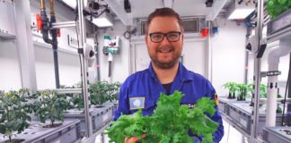 Space Salad: Scientists Grow Plants in Space-like Conditions at Antarctica
