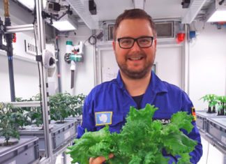 Space Salad: Scientists Grow Plants in Space-like Conditions at Antarctica Space Salad: Scientists Grow Plants in Space-like Conditions at Antarctica