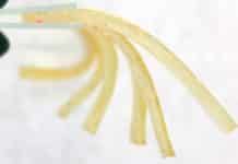 A Bite of Caffeine? A Novel Gel for Drug Delivery Employing Caffeine Catalyst A Novel Gel for Drug Delivery Employing Caffeine Catalyst