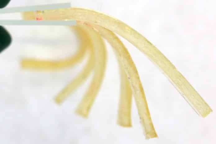 A Novel Gel for Drug Delivery Employing Caffeine Catalyst