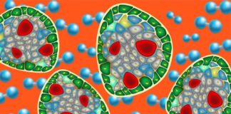 Pancreatic islets Implants Come With Their Own Oxygen Tanks