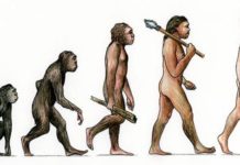 “Natural Selection” Still at Play in Humans “Natural Selection” Still at Play in Humans