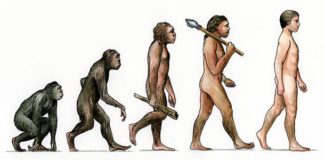 “Natural Selection” Still at Play in Humans