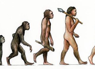 “Natural Selection” Still at Play in Humans “Natural Selection” Still at Play in Humans