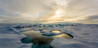 Record Levels of Plastics Contaminating the Arctic Sea Found