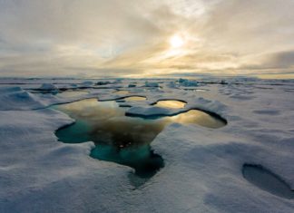 Record Levels of Plastics Contaminating the Arctic Sea Found Record Levels of Plastics Contaminating the Arctic Sea Found