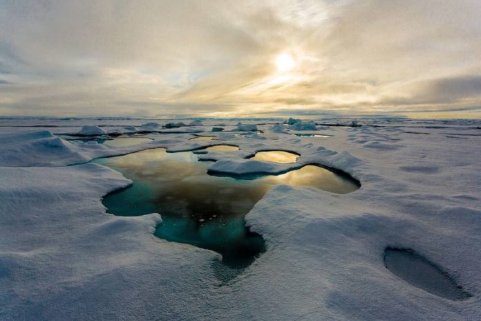 Record Levels of Plastics Contaminating the Arctic Sea Found