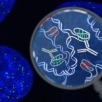 Twisty “Knot” DNA Discovered in Living Cells for the First Time Twisty “Knot” DNA Discovered in Living Cells for the First Time