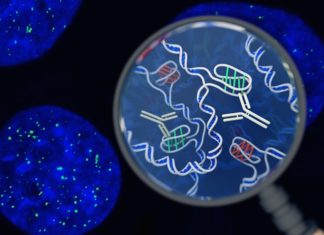 Twisty “Knot” DNA Discovered in Living Cells for the First Time Twisty “Knot” DNA Discovered in Living Cells for the First Time