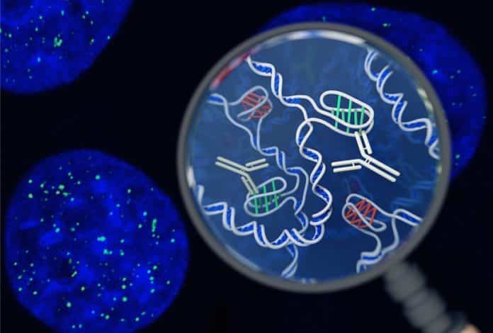Twisty “Knot” DNA Discovered in Living Cells for the First Time