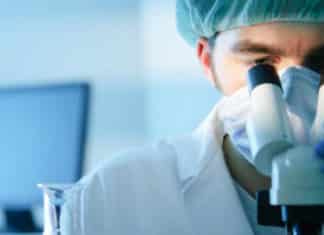 Research Trainees With Project Opportunity @ NABI, Mohali