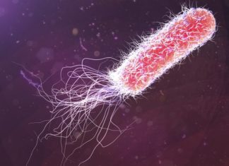 Single Enzyme Aided Bacterial Survival Strategy Provides New Insights into Resistance Single Enzyme Aided Bacterial Survival Strategy to Help Fight Resistance