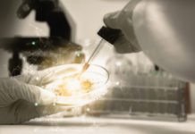 DBT - Biotech Industrial Training Programme (BITP) 2018-2019