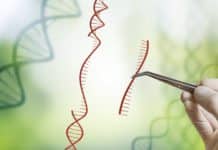 Scope of CRISPR? Will it Revolutionize Humanity as Touted? scope of crispr