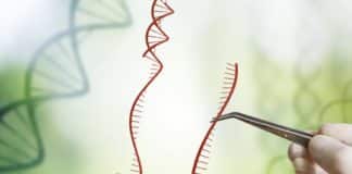 scope of crispr