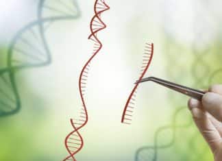 Scope of CRISPR? Will it Revolutionize Humanity as Touted? scope of crispr