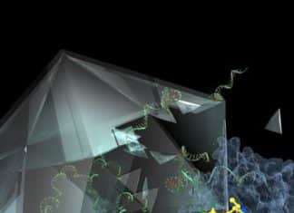 Bless Us! We Finally May Have a Cure for Common Cold Bless Us! We Finally May Have a Cure for Common Cold