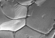 RNA Might Have Gone the Three-Base-at-a-Time Way During Early Replication Cycles RNA Might Have Gone the Three-Base-at-a-Time Way During Early Replication Cycles