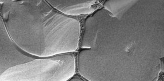 RNA Might Have Gone the Three-Base-at-a-Time Way During Early Replication Cycles