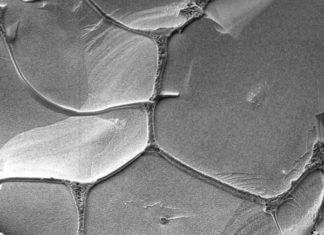 RNA Might Have Gone the Three-Base-at-a-Time Way During Early Replication Cycles RNA Might Have Gone the Three-Base-at-a-Time Way During Early Replication Cycles
