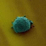 Lab-on-a-Chip Sheds Light on Human Cell Communication