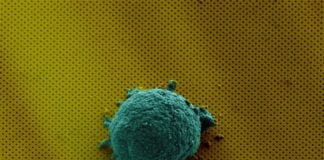 Lab-on-a-Chip Sheds Light on Human Cell Communication