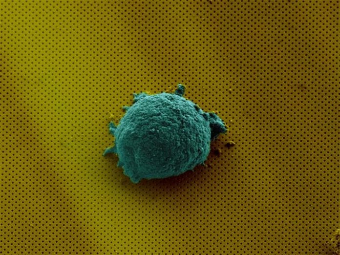 Lab-on-a-Chip Sheds Light on Human Cell Communication