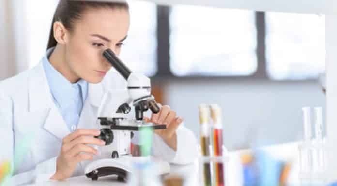 EMPAPOSTDOCS-II Research & Career Advancing Fellowships 2018