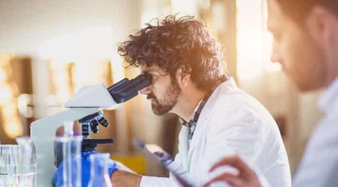 Netaji Subhas-ICAR International Fellowships 2018-2019