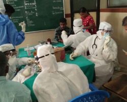 688554-nipah-ani