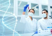 INSA Bilateral Exchange Programme 2019 | Opportunity For Indian Scientists to Work Abroad MSc Botany Jr. Research Fellow Post @ Banaras Hindu University