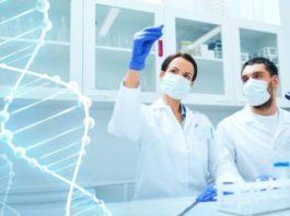 INSA Bilateral Exchange Programme 2019 | Opportunity For Indian Scientists to Work Abroad MSc Botany Jr. Research Fellow Post @ Banaras Hindu University