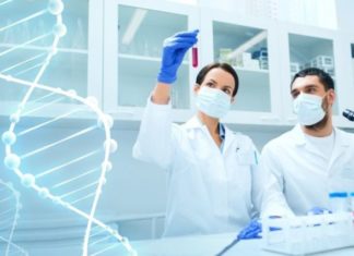 INSA Bilateral Exchange Programme 2019 | Opportunity For Indian Scientists to Work Abroad MSc Botany Jr. Research Fellow Post @ Banaras Hindu University