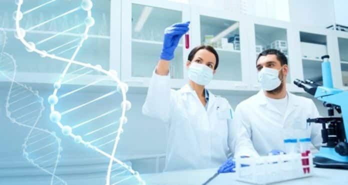 MSc Botany Jr. Research Fellow Post @ Banaras Hindu University