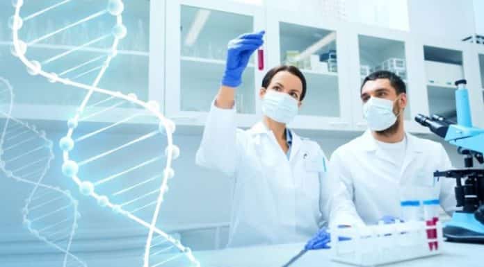 MSc Botany Jr. Research Fellow Post @ Banaras Hindu University