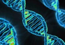 Human Genetic Survey Identifies 148 Different Genetic Loci Impacting Cognition Biosciences & Life Sciences Project Post Vacant @ NCL, Pune