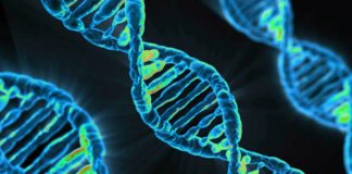 Biosciences & Life Sciences Project Post Vacant @ NCL, Pune