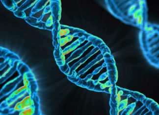 Human Genetic Survey Identifies 148 Different Genetic Loci Impacting Cognition Biosciences & Life Sciences Project Post Vacant @ NCL, Pune