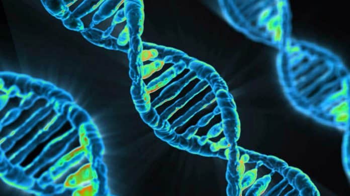 Biosciences & Life Sciences Project Post Vacant @ NCL, Pune