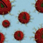 Combined Drug Therapy for Glioblastoma Tumors Using Nanoparticles