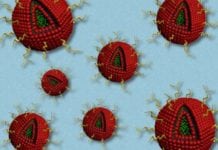 Combined Drug Therapy for Glioblastoma Tumors Using Nanoparticles Combined Drug Therapy for Glioblastoma Tumors Using Nanoparticles