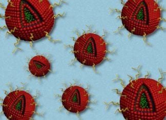 Combined Drug Therapy for Glioblastoma Tumors Using Nanoparticles Combined Drug Therapy for Glioblastoma Tumors Using Nanoparticles