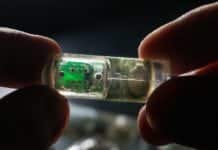 Ingestible Sensor Laced with E.coli to Monitor Gut Health Ingestible Sensor Laced with E.coli to Monitor Gut Health