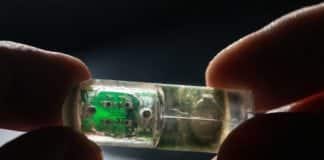 Ingestible Sensor Laced with E.coli to Monitor Gut Health