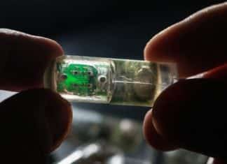 Ingestible Sensor Laced with E.coli to Monitor Gut Health Ingestible Sensor Laced with E.coli to Monitor Gut Health