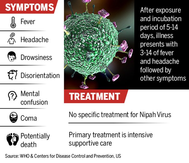 The Nipah Virus Outbreak: All You Need to Know