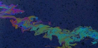 Scientists Develop a “Smart” Membrane, Promising a Solution to Oil Spills