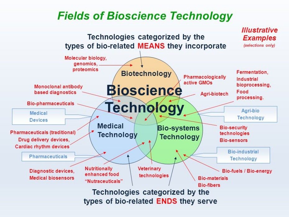 List of Courses and Career Options Available After B.sc Biotech