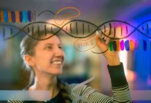 Scientists to Recode Genome Invulnerable to Viruses Scientists to Recode Genome Invulnerable to Viruses